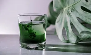 کلروفیل چیست و چه خواصی دارد؟