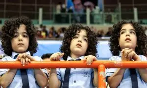 پانزدهمین جشنواره ملی روز دوقلوها و چندقلوها در تهران و کیش برگزار می شود