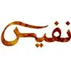 هلدینگ نفیس