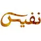 هلدینگ نفیس