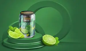 اجرای کمپین تبلیغاتی سانی‌ نس در تهران