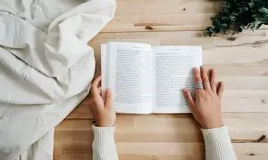 «زی‌‌مون» شکل تازه‌ ای از هم‌ زیستی فرهنگ و خلاقیت