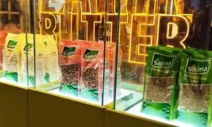 کیفیت و قیمت منصفانه؛ دو ویژگی برند سالما