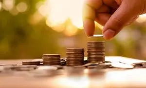 تامین سرمایه نوین به سهامدارانش سود داد