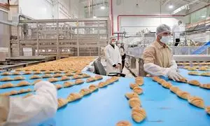 مهمترین فرصت‌ ها و تهدیدات صنایع غذایی ایران