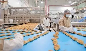 مهمترین فرصت‌ ها و تهدیدات صنایع غذایی ایران