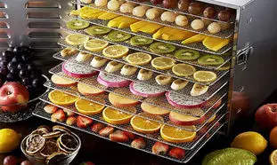 بهترین دستگاه خشک کن میوه مناسب فضاهای صنعتی