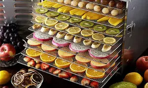 بهترین دستگاه خشک کن میوه مناسب فضاهای صنعتی