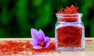 نوین زعفران نشان کیفیت از بلژیک گرفت