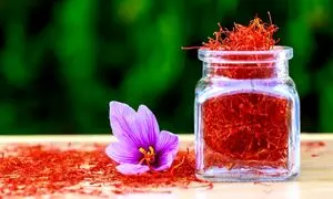 نوین زعفران نشان کیفیت از بلژیک گرفت