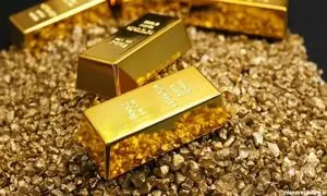 ثبت و راه اندازی طلاسی؛ از ایده اولیه تا اجرا