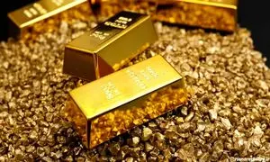 ثبت و راه اندازی طلاسی؛ از ایده اولیه تا اجرا