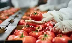 پرفروش‌ ترین شرکتهای صنایع غذایی ایران