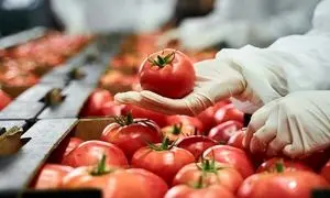 پرفروش‌ ترین شرکتهای صنایع غذایی ایران