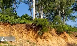 حراج هر 10 کیلو خاک جنگل های شمال 20 هزار تومان!