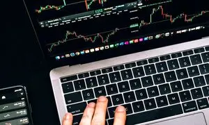 آغاز احراز هویت مجدد در نوبیتکس / زمان برداشت مشخص شد