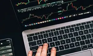 آغاز احراز هویت مجدد در نوبیتکس / زمان برداشت مشخص شد