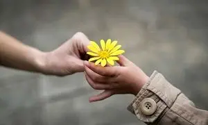 ارایه بسته های کمک معیشتی توسط ایران سمپلر