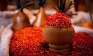 طلای سرخ ایران روی ریل جهانی‌سازی با نوین زعفران و گلرنگ