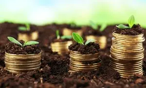 پرداخت ۱۰۰ میلیارد تومان سرمایه کاربران طی جنگ ۱۲ روزه توسط ازکی سرمایه