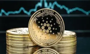 رشد رمزارز کاردانو با حمایت کامل نهنگ ها