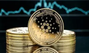 رشد رمزارز کاردانو با حمایت کامل نهنگ ها