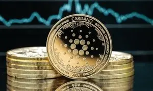 رشد رمزارز کاردانو با حمایت کامل نهنگ ها