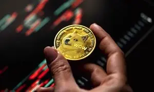 منتظر صعود قوی ارز دیجیتال دوج کوین باشید