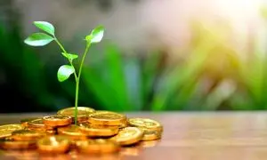 واریز سود تیر ماه صندوق حکمت آشنا ایرانیان