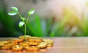 واریز سود تیر ماه صندوق حکمت آشنا ایرانیان