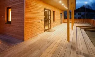 آشنایی با فواید چوب ترموود