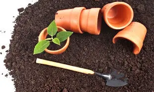 بررسی انوع خاک گلدان