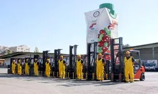 سایه‌ سمن تقدیرنامه منابع انسانی گرفت