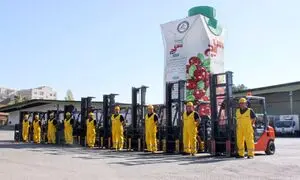سایه‌ سمن تقدیرنامه منابع انسانی گرفت