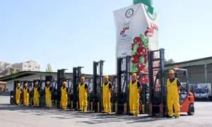 سایه‌ سمن تقدیرنامه منابع انسانی گرفت