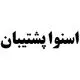 اسنوا پشتیبان