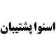 اسنوا پشتیبان