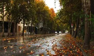در منطقه 9 تهران خیابان کامل افتتاح شد
