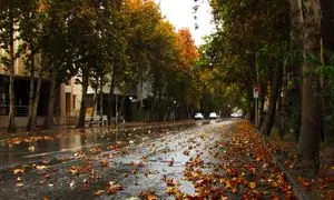 در منطقه 9 تهران خیابان کامل افتتاح شد