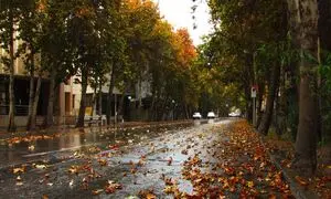 در منطقه 9 تهران خیابان کامل افتتاح شد