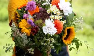 با ارسال گل فاصله به علت مهاجرت را پر کنید