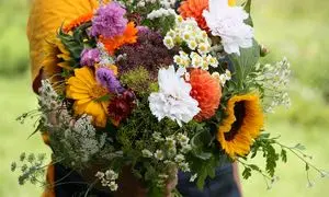با ارسال گل فاصله به علت مهاجرت را پر کنید