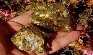 افزایش 23 درصدی تولید طلا در بزرگترین معدن طلای ایران
