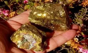 افزایش 23 درصدی تولید طلا در بزرگترین معدن طلای ایران