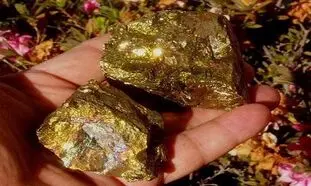 افزایش 23 درصدی تولید طلا در بزرگترین معدن طلای ایران