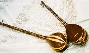 یادگیری موسیقی انتخابی ارزشمند است