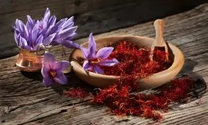 شعبه جدید نوین زعفران در دبی