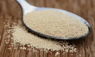 فواید استفاده از خمیر مایه در نان چیست؟