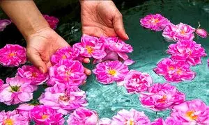 بوییدن گل فواید درمانی دارد