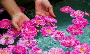 بوییدن گل فواید درمانی دارد